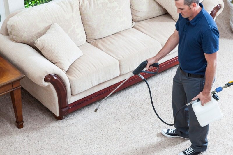 Carpet Cleaning Services - LoveYourCarpet - Upholstery ...